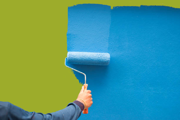 Best Repainting for Renovations  in Downs, IL